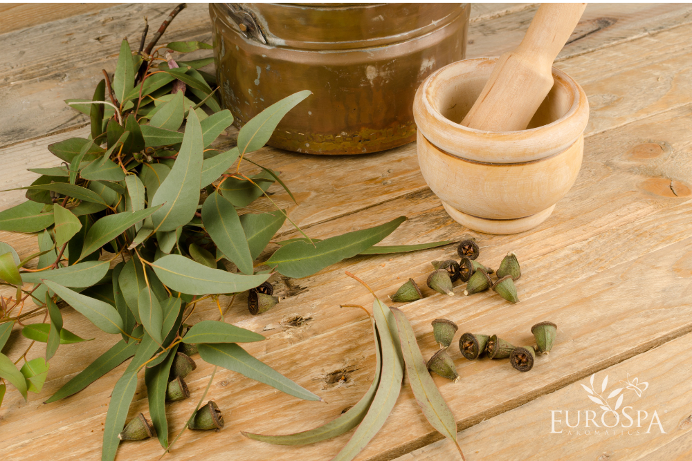 Why Fall Is the Best Time to Use Eucalyptus Oil