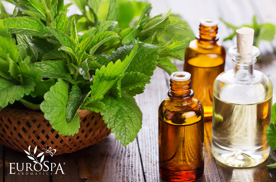 Top Benefits of Peppermint Oil