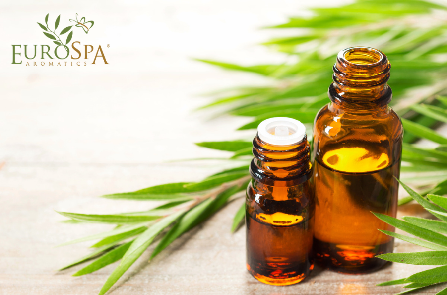 Simple Secrets to Rock Your Tea Tree Oil Use